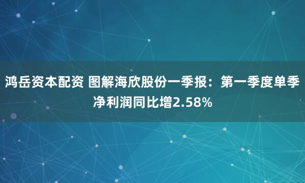 鸿岳资本配资 图解海欣股份一季报：第一季度单季净利润同比增2.58%