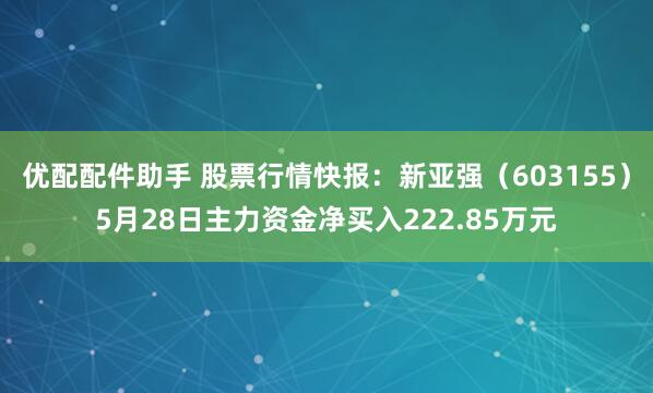 优配配件助手 股票行情快报：新亚强（603155）5月28日主力资金净买入222.85万元