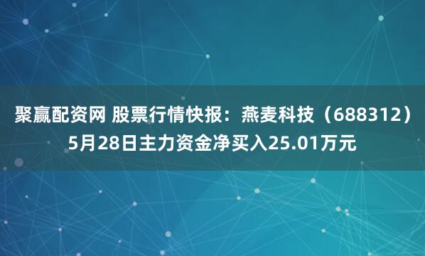 聚赢配资网 股票行情快报：燕麦科技（688312）5月28日主力资金净买入25.01万元