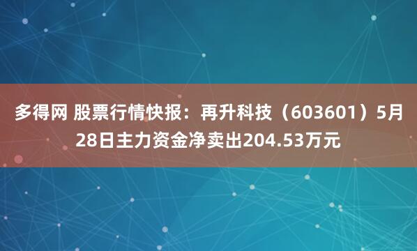 多得网 股票行情快报：再升科技（603601）5月28日主力资金净卖出204.53万元