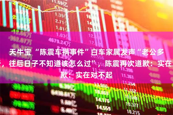 天牛宝 “陈震车祸事件”白车家属发声“老公多处骨折，往后日子不知道该怎么过”，陈震再次道歉：实在对不起