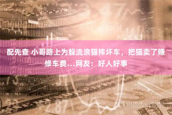 配先查 小哥路上为躲流浪猫摔坏车，把猫卖了赚修车费…网友：好人好事