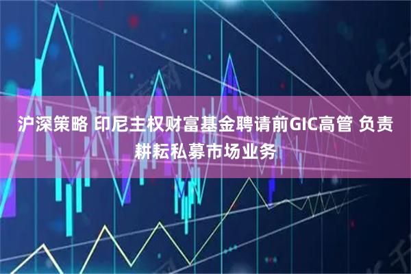 沪深策略 印尼主权财富基金聘请前GIC高管 负责耕耘私募市场业务