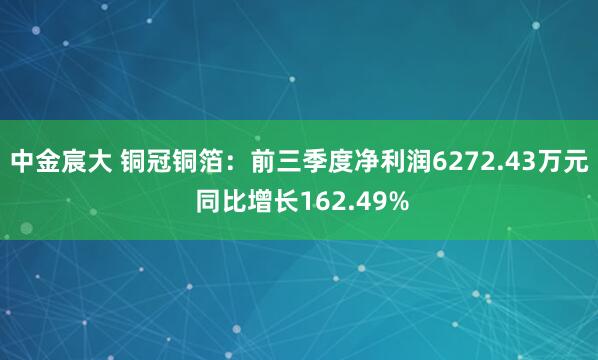 中金宸大 铜冠铜箔：前三季度净利润6272.43万元 同比增长162.49%