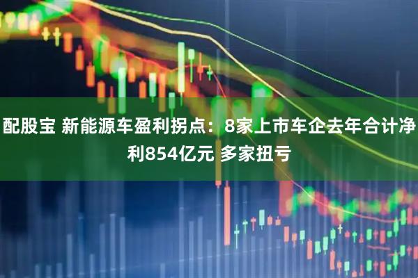 配股宝 新能源车盈利拐点：8家上市车企去年合计净利854亿元 多家扭亏