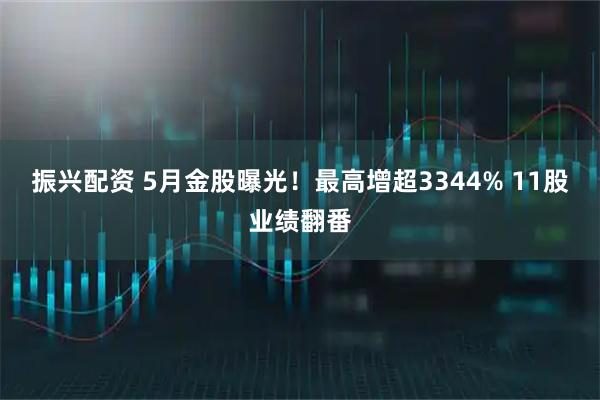 振兴配资 5月金股曝光！最高增超3344% 11股业绩翻番