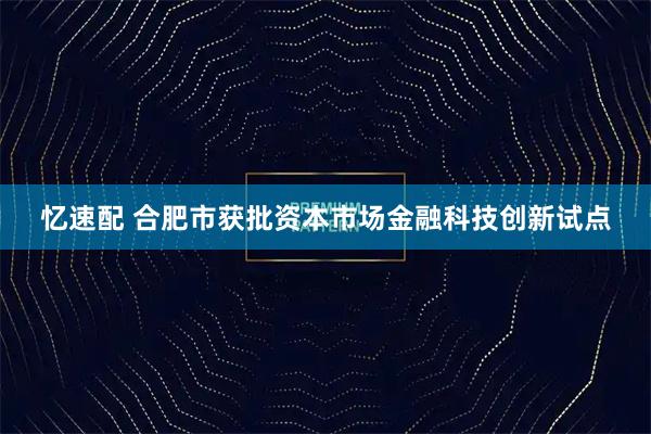 忆速配 合肥市获批资本市场金融科技创新试点