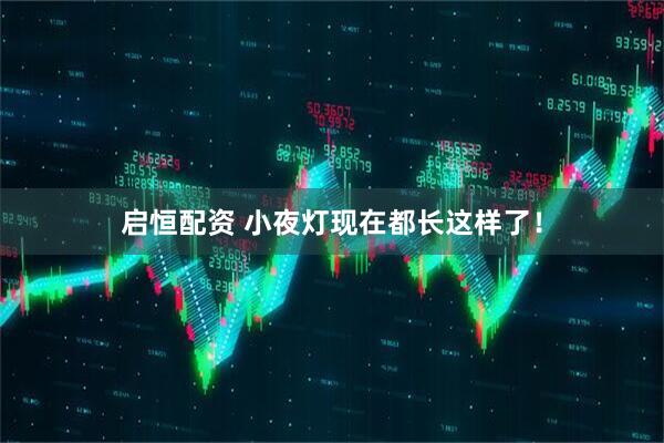 启恒配资 小夜灯现在都长这样了！